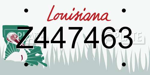 Z447463 Louisiana License Plate