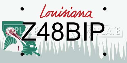 Z48BIP Louisiana License Plate