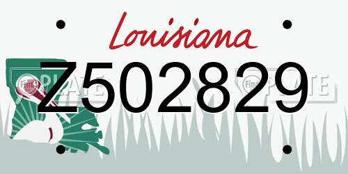 Z502829 Louisiana License Plate