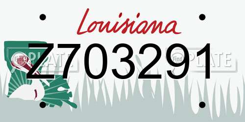 Z703291 Louisiana License Plate