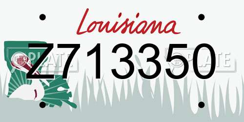 Z713350 Louisiana License Plate