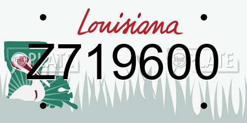 Z719600 Louisiana License Plate