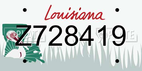 Z728419 Louisiana License Plate