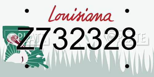 Z732328 Louisiana License Plate