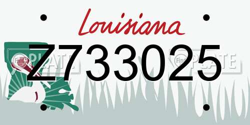 Z733025 Louisiana License Plate