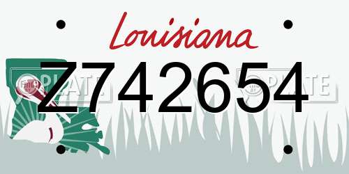 Z742654 Louisiana License Plate