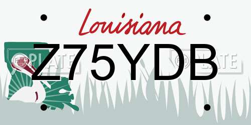 Z75YDB Louisiana License Plate