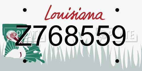 Z768559 Louisiana License Plate