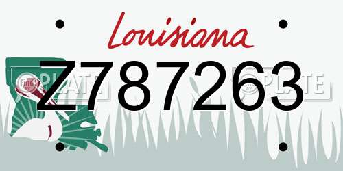 Z787263 Louisiana License Plate