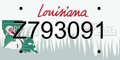 Z793091 Louisiana License Plate