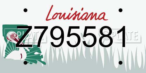 Z795581 Louisiana License Plate