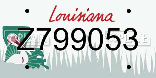 Z799053 Louisiana License Plate