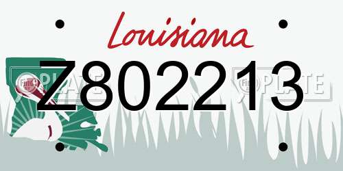 Z802213 Louisiana License Plate