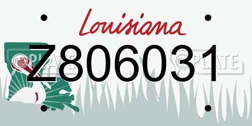 Z806031 Louisiana License Plate