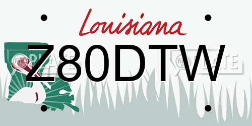 Z80DTW Louisiana License Plate