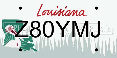 Z80YMJ Louisiana License Plate