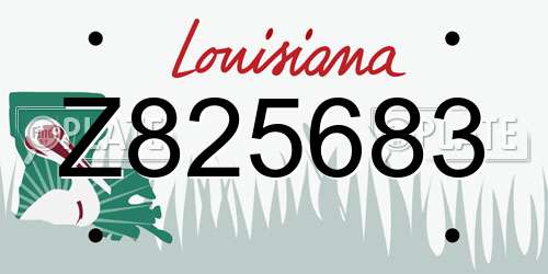 Z825683 Louisiana License Plate