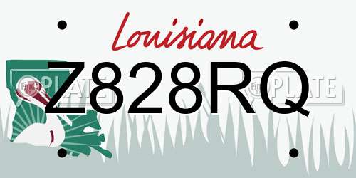 Z828RQ Louisiana License Plate