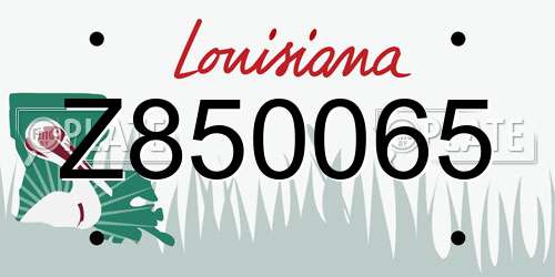 Z850065 Louisiana License Plate
