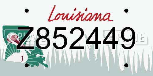 Z852449 Louisiana License Plate