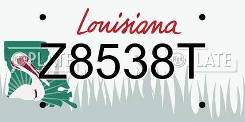 Z8538T Louisiana License Plate