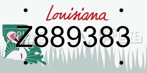 Z889383 Louisiana License Plate
