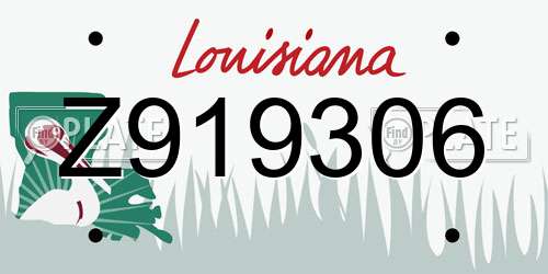 Z919306 Louisiana License Plate