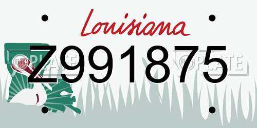 Z991875 Louisiana License Plate