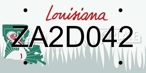 ZA2D042 Louisiana License Plate