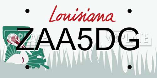ZAA5DG Louisiana License Plate