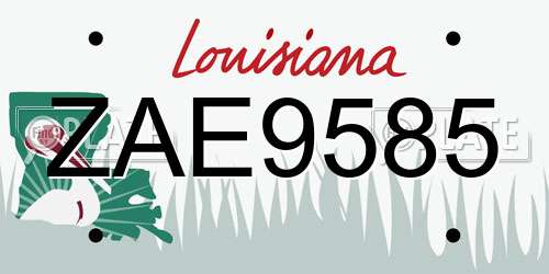 ZAE9585 Louisiana License Plate