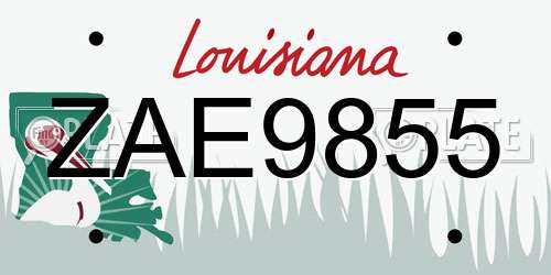 ZAE9855 Louisiana License Plate