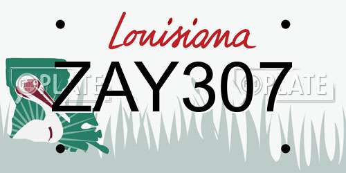 ZAY307 Louisiana License Plate