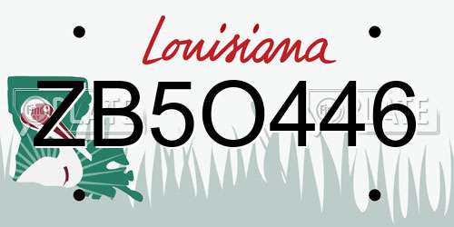 ZB5O446 Louisiana License Plate