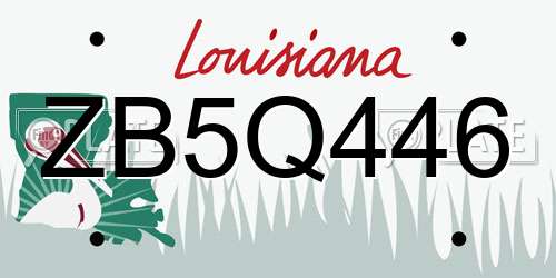 ZB5Q446 Louisiana License Plate