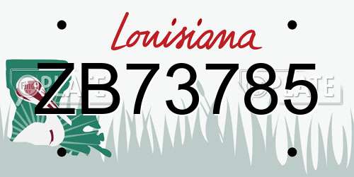 ZB73785 Louisiana License Plate