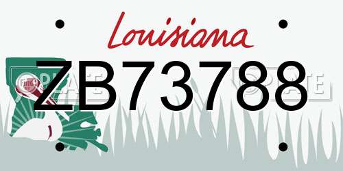 ZB73788 Louisiana License Plate