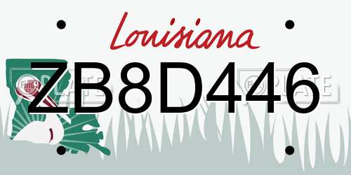 ZB8D446 Louisiana License Plate