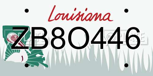 ZB8O446 Louisiana License Plate