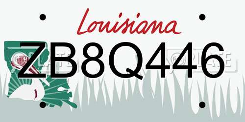 ZB8Q446 Louisiana License Plate