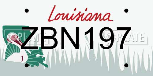 ZBN197 Louisiana License Plate