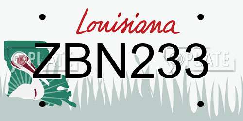 ZBN233 Louisiana License Plate