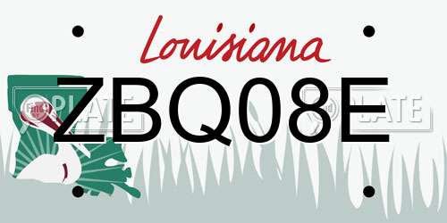 ZBQ08E Louisiana License Plate