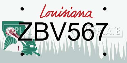 ZBV567 Louisiana License Plate