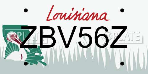 ZBV56Z Louisiana License Plate