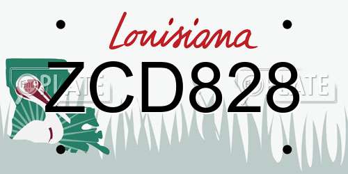 ZCD828 Louisiana License Plate