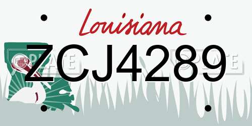 ZCJ4289 Louisiana License Plate