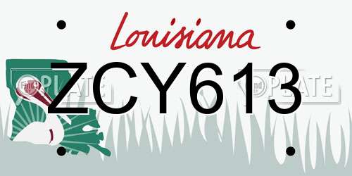 ZCY613 Louisiana License Plate