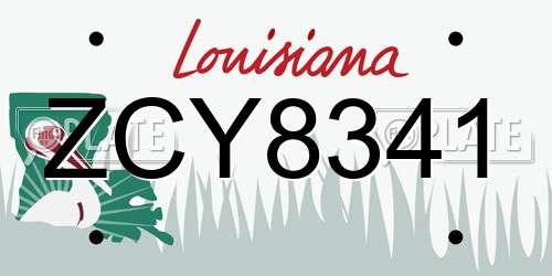 ZCY8341 Louisiana License Plate
