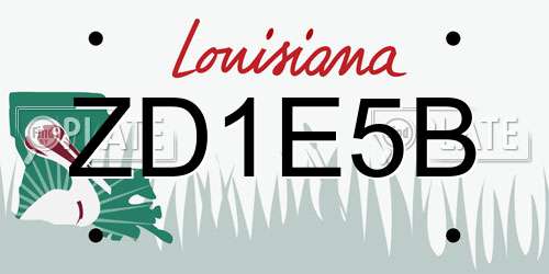 ZD1E5B Louisiana License Plate